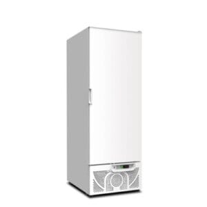 ARMADIO FRIGORIFERO FRIGOR FRIGO -10 -25 RS9592